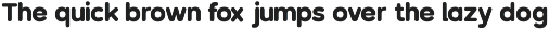 Hinotha Tomori Fun Rounded Sans Font preview