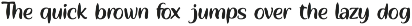 Hidawi | Sophisticated Modern Serif preview
