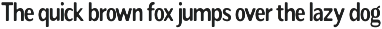 Readant Condensed - Family Font preview