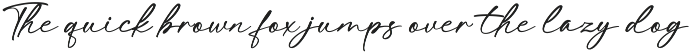 Bongstand – Elegant Handwritten Font preview