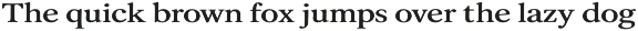 Old String - Serif & Script Font Duo preview