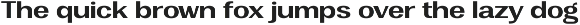 Vegora Display Sans preview
