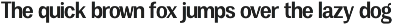 Vegora Display Sans preview