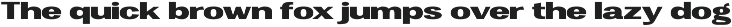 Vegora Display Sans preview