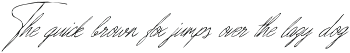 True Signature - Handwriting Script font preview