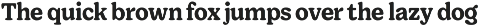 Giorgia - Soft Serif Family preview