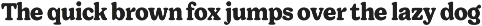 Giorgia - Soft Serif Family preview