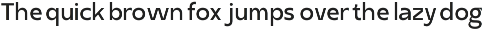 Neo Grotesk Sans - Seragil preview