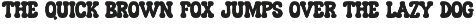 Stay Howdy - Cute Western Font preview