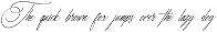 Marseliyon Elegant Signature Script preview