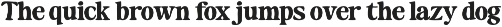 Maker's Serif Serif (30 Font) preview