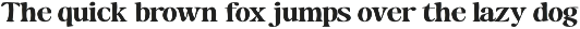 Maker's Serif Serif (30 Font) preview