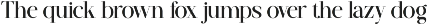 Rofusta - Elegant Stylish Serif Font preview