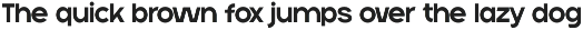 Neuversa - Modern Sans Serif Font preview