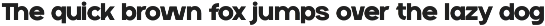 Neuversa - Modern Sans Serif Font preview