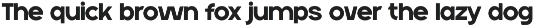 Neuversa - Modern Sans Serif Font preview