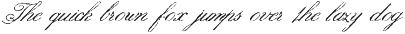 Noir Ink Script preview