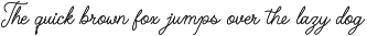 Holany Calira | Monoline Script preview
