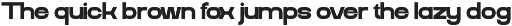 Grand Meta - Width Sans Serif Font preview