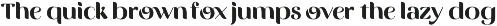 Vittasoa – Modern Display Typeface preview