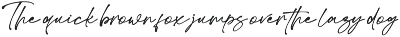 Super Gesture - A Timeless Font Duo preview