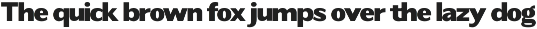 Readant Expanded - Family Font preview