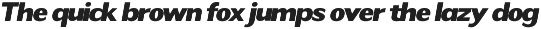 Readant Expanded - Family Font preview