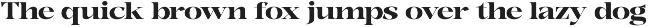 Bonarchi - Family Font preview