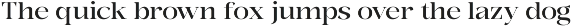 Bonarchi - Family Font preview