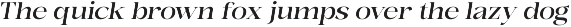 Bonarchi - Family Font preview