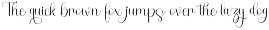 Birthday Surprise preview