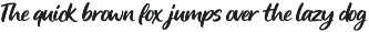 Dark Slash – Bold Brush Script preview