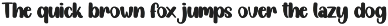 Angista | Script Font preview