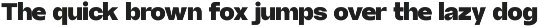 Borscha Typeface preview