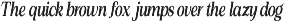 Silvera Text preview