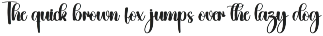 Cemetery | Script Font preview