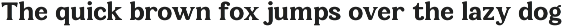 Castle Of Avenue - A Serif Family preview