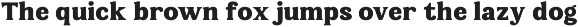 Castle Of Avenue - A Serif Family preview
