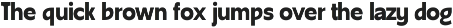 Fleur Porta | Display Sans preview