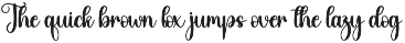 Amsterdam | Script Font preview