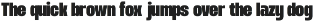 TBJ Dogmu Bold Power Sans Serif preview