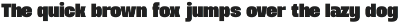 TBJ Dogmu Bold Power Sans Serif preview