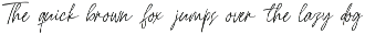 Streper Chane Signature Script Font preview