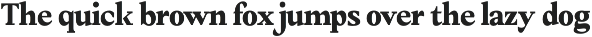 Amnesist | 12 Fonts preview