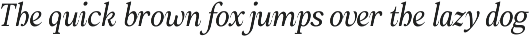 Amnesist | 12 Fonts preview