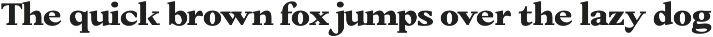 Amnesist | 12 Fonts preview