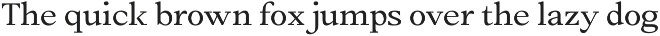 Amnesist | 12 Fonts preview