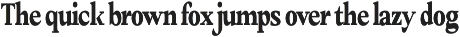 Amnesist | 12 Fonts preview