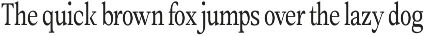 Amnesist | 12 Fonts preview