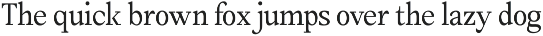 Amnesist | 12 Fonts preview